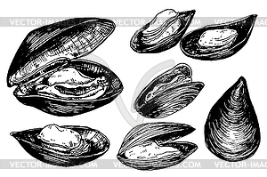 Mussels - vector clipart