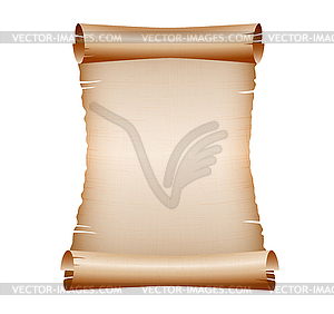 Old blank scroll paper - vector image