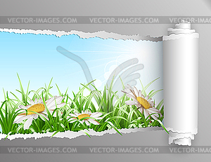 Torn paper with summer background - vector clipart