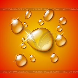 Transparent water drop - vector image