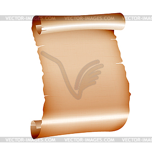 Old blank scroll paper - vector image