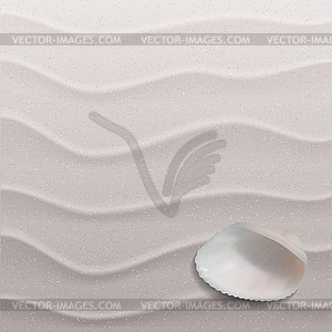 Marine background with seashell on sand - vector clipart