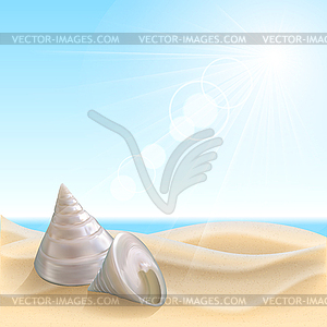 Shell on beach - vector image