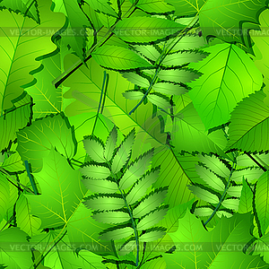 Seamless with green spring leaves - vector clip art