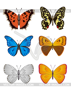 Set of Butterfly,  - vector image