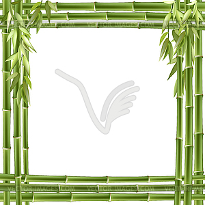 Bamboo frame. background - vector clipart