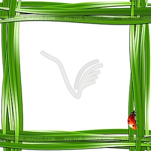 Grass frame with ladybugs - royalty-free vector clipart