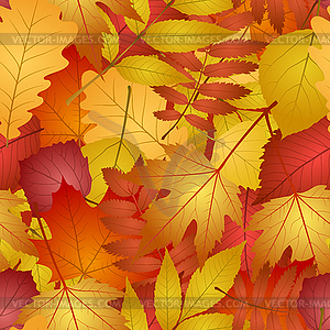 Бесшовные с осенними листьями - векторная иллюстрация