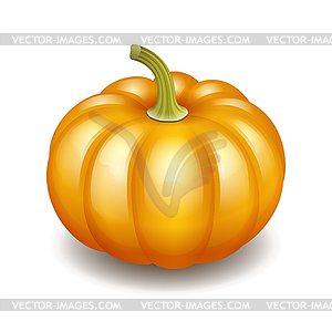 Orange autumn pumpkin icon - vector clipart