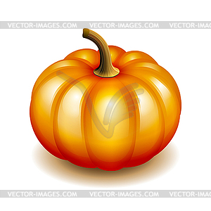 Orange autumn pumpkin icon - vector clip art