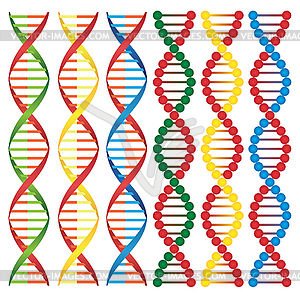 Molecules of DNA - vector image