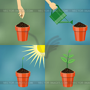 Planting process in flat design - vector clipart