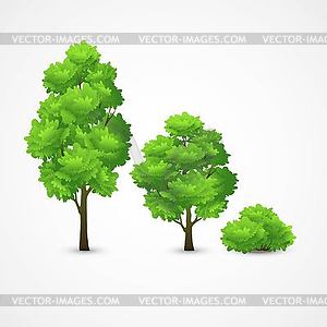 Set of different trees - vector image