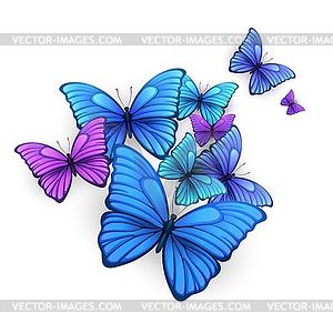 Butterflies background design - vector image