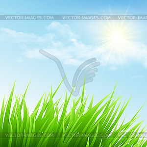 Green grass and blue sky - color vector clipart