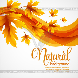 Autumn leaves background - vector clipart