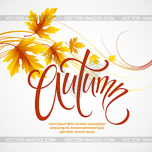 Autumn leaves background - vector clip art