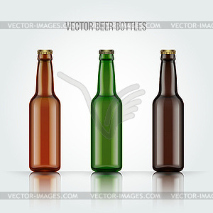Blank glass beer bottle for new design - vector clipart