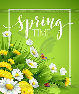 Fresh spring background with grass, dandelions and - vector image