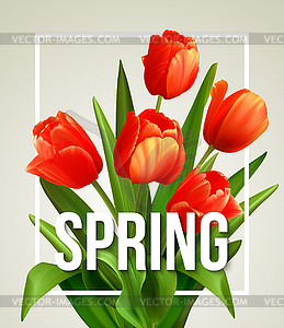 Spring text with tulip flower - vector image