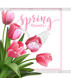 Spring text with tulip flower - vector image