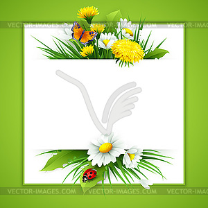 Fresh spring background with grass, dandelions and - vector image