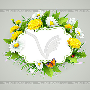 Fresh spring background with grass, dandelions and - vector image