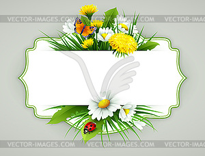 Fresh spring background with grass, dandelions and - vector clip art