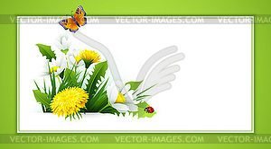 Fresh spring background with grass, dandelions and - vector clipart