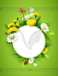 Fresh spring background with grass, dandelions and - vector clip art