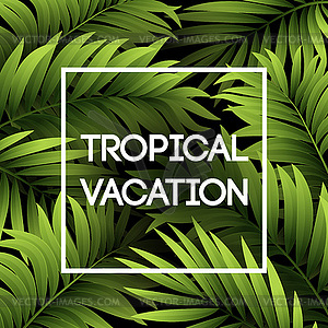 Summer tropical background of palm leaves. - vector clip art