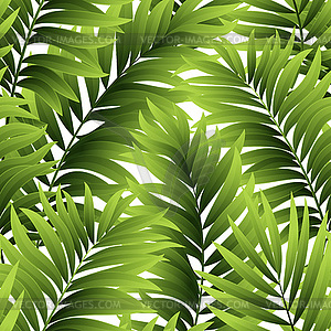 Leaves of palm tree. Seamless pattern - vector image