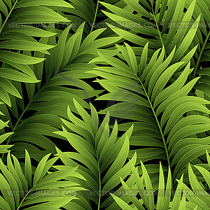 Leaves of palm tree. Seamless pattern - vector image