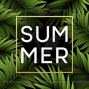 Summer tropical background of palm leaves. - vector clip art
