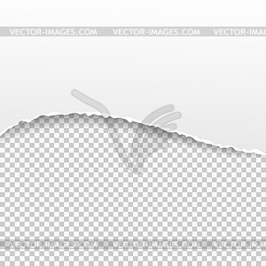 Torn paper banner on transparent background - vector image