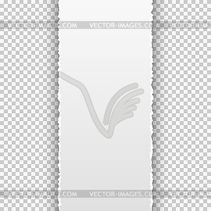 Torn paper banner on transparent background - vector image