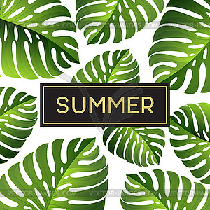 Tropical monstera leaves design for text card - vector image