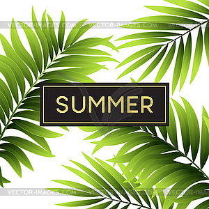 Tropical palm leaves design for text card - vector image