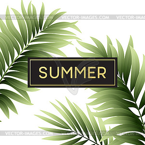 Tropical palm leaves design for text card - stock vector clipart