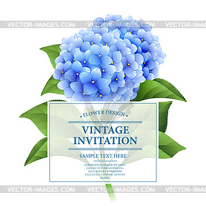 Invitation card. Blue hydrangea flowers. Vintage - vector image