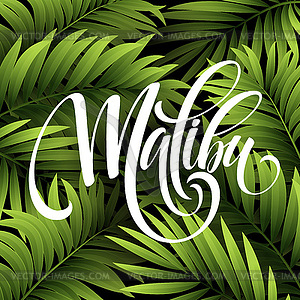 Malibu California handwriting lettering on palm lea - vector image