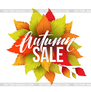 Autumn sale lettering design. Fall leaf. Label, - vector clipart