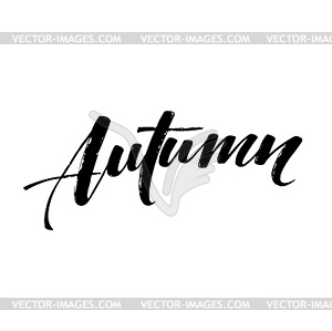 Fall Modern calligraph card. lettering design. Ink  - vector image