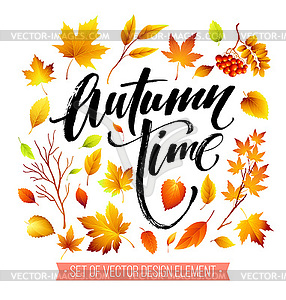 Color autumn leaves. Fall leaf set - vector clipart