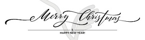 Merry Christmas hand lettering  - vector image