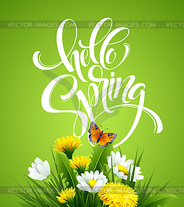 Inscription Hello Spring Hand Lettering on - vector clipart