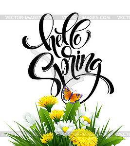 Inscription Hello Spring Hand Lettering on - vector image