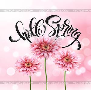 Gerbera Flower Background and Hello Spring Lettering - color vector clipart