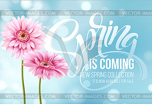 Gerbera Flower Background and Spring is coming - vector image