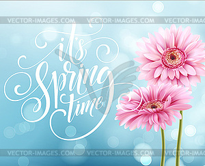 Gerbera Flower Background and Spring Lettering - vector image